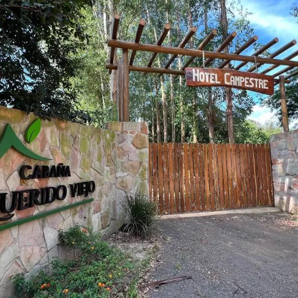 Doctor Juan León Mallorquín में, होटल Cabañas Mi Querido Viejo