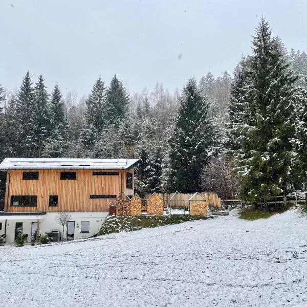 Waldblick - Neubau - Self-Check-In - kein Verkehr - am Wald - Parkplätze vor Tür - apartment or double room: Innsbruck şehrinde bir otel