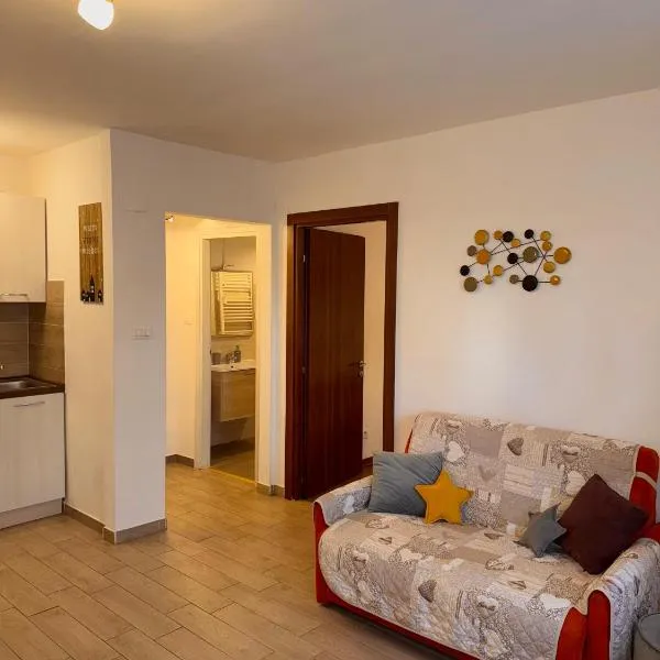 Friedrich Apartments，位于梅拉诺的酒店