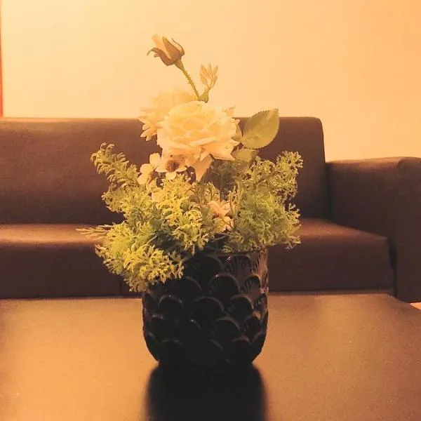 La Casa De Papel Morogoro Apartment by Monalisa, hotel in Morogoro