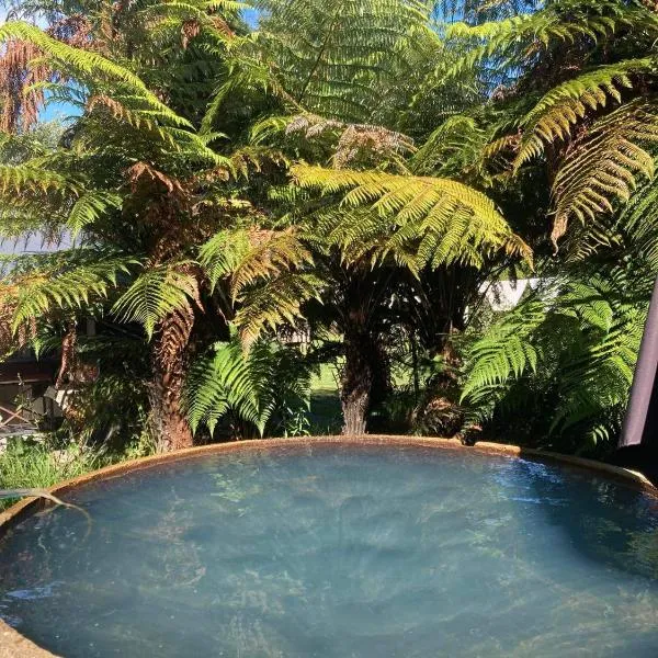 Cottage and geothermal pool by lake Taupo, hotel v destinaci Turangi