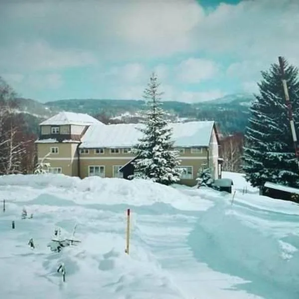 Pension Panorama, hotel v Tanvaldě