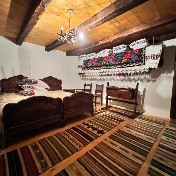 Casa Ilenucăi, hotel in Bîrsana
