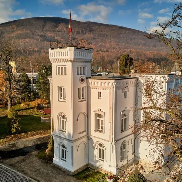 Chateau Franz, hotel in Osek