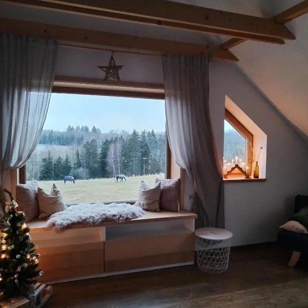 Apartmán Schwaderbach, hotel in Bublava