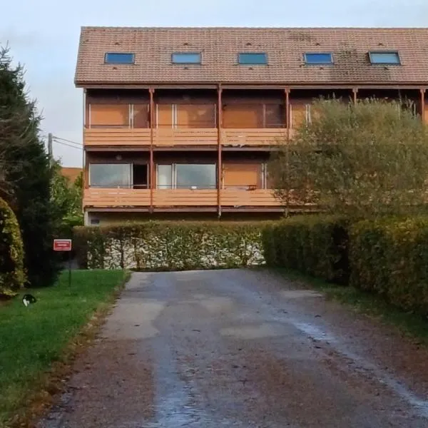 loue appartement mon petit bonheur à Xonrupt Longemer pour 1 à 2 personnes – hotel w mieście Xonrupt-Longemer