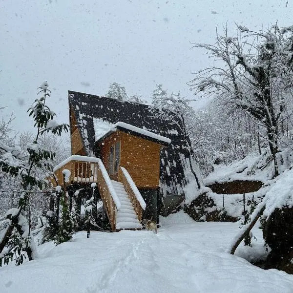 Thoma's hut-თომას ქოხი，位于巴统的酒店