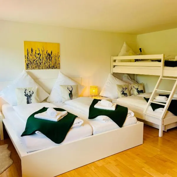 Ferienwohnung Fuchsfelsen, perfekt für Familien mit Kindern, hotel in Häusern