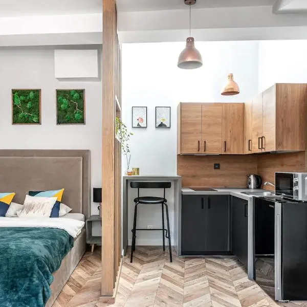 Oldtown Apartment studio #D, hotel in Vilnius