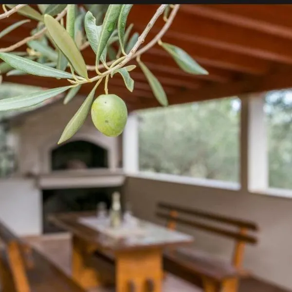 HOLIDAY HOUSE Ose, готель у місті Mirce