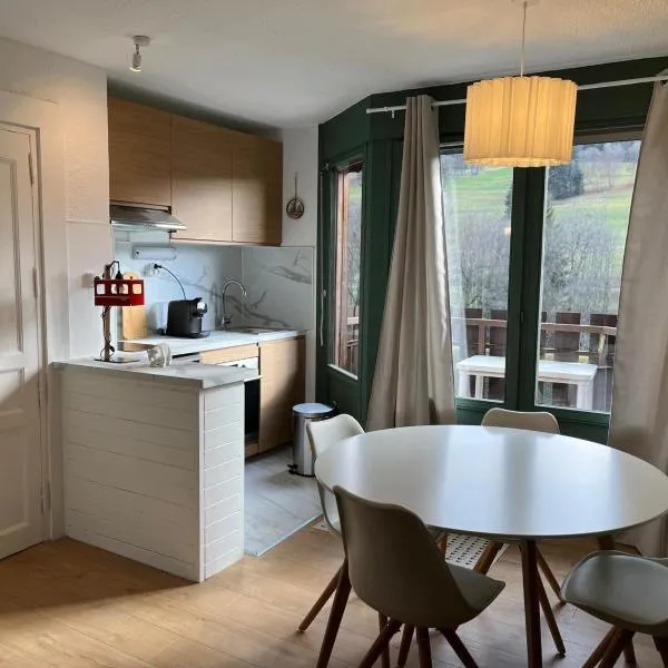 Mignon petit Studio 25m2 avec balcon et Parking face départ pistes !, hotel in Demi-Quartier