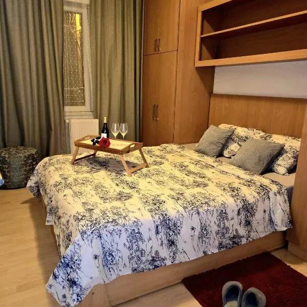 Apartman 77, hotel in Požarevac
