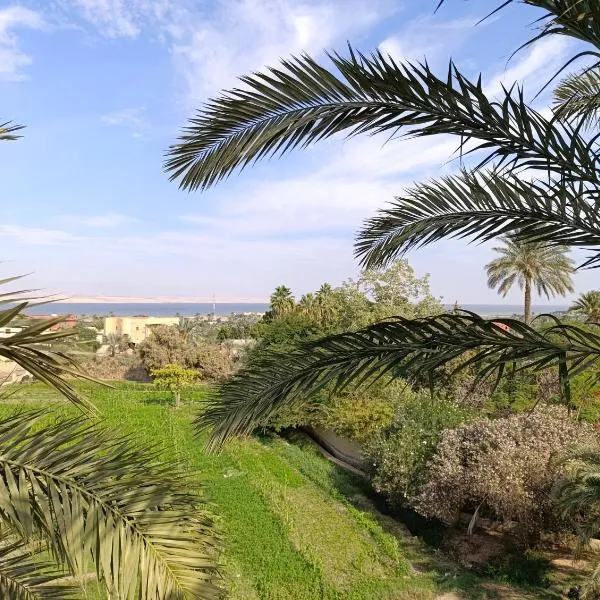 Bostan studio, hotel v destinaci Fajjúm