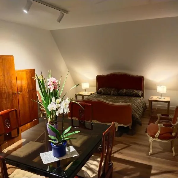 Les vignobles d'Alsace, hotel in Wintzenheim