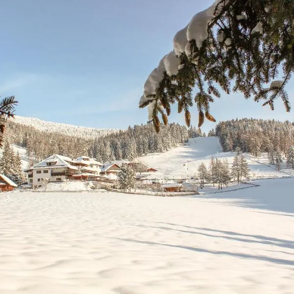 Berghotel zum Zirm, hotel en Collalbo