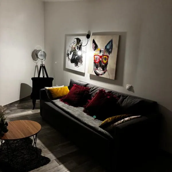 Studio confortable, hotel v destinaci Givors