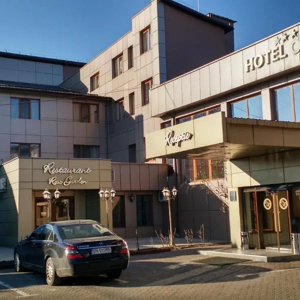 Hotel Ozana، فندق في بيستريتسا