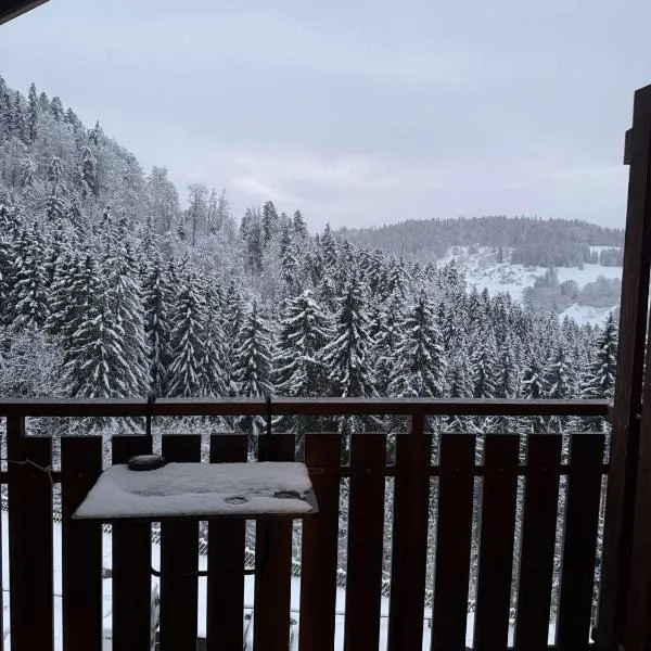 Votre havre de paix avec vue sur la forêt, מלון בBellevaux