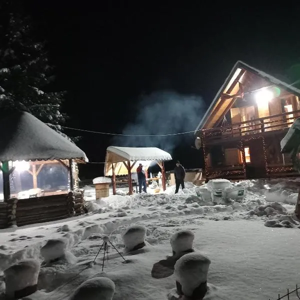 Casa Dani, hôtel à Vatra Dornei