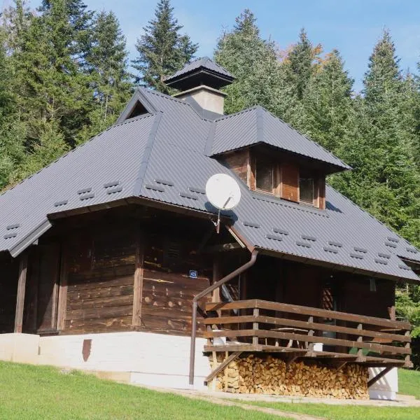 Apartmani Novakovic, hotel v destinaci Bajina Bašta