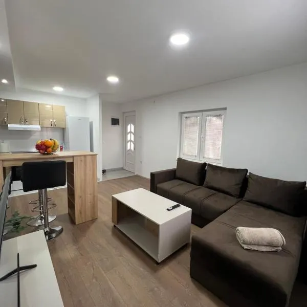 Rankovic Apartmani 2, hotel in Požarevac