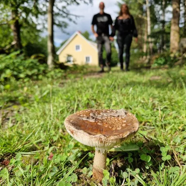 Gula huset i skogen- Skogsbruk & logi på Linderödsåsen, hotel v destinaci Kilhult