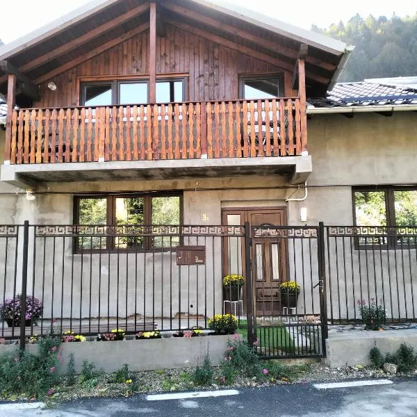 Casa Kees, hotel in Azuga