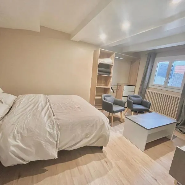 Studio avec cuisine, salle de bain et garage privé proximité 24h, hotel in Le Mans