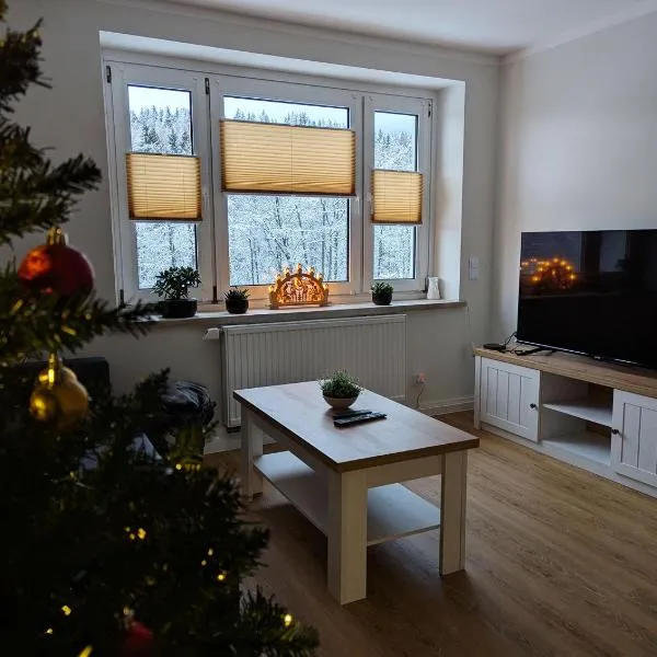 FeWo Bergsonne - 2 Schlafzimmer, modern, Familie, ruhige Lage, Hotel in Kurort Oberwiesenthal