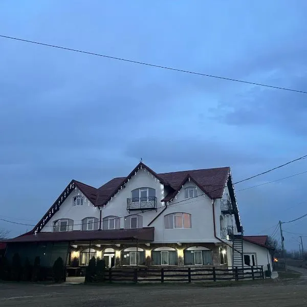 Pensiunea Dumbrăvița, hotel v destinaci Dumbrava
