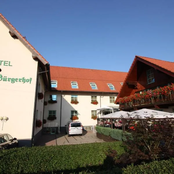 Hotel Bürgerhof, hotel in Niederwurschnitz