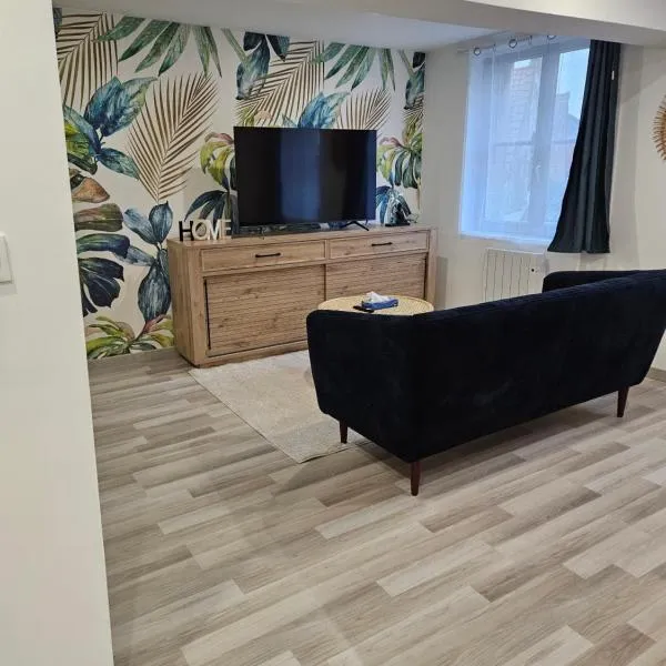 Appartement T2 cosy à 5min à pieds de la gare, hotel in Valenciennes