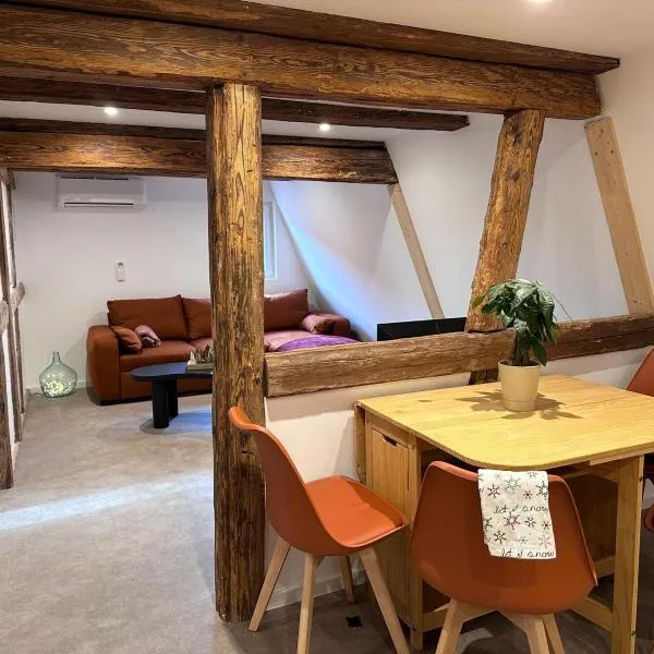 Appartement 2023, hotel in Kintzheim