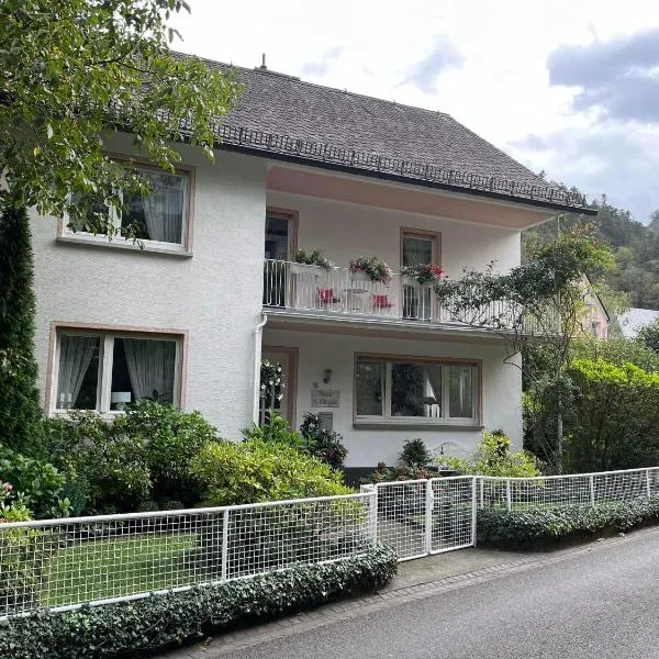 Haus Arthur Klingels, hotel v destinaci Bad Bertrich