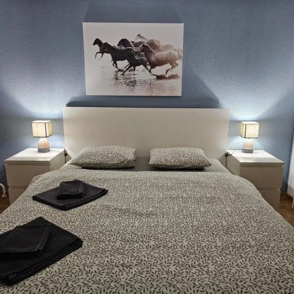 Sleep here, hotell sihtkohas Göschenen