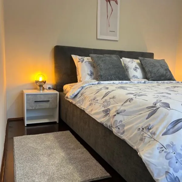 Apartman JV, hotel v destinaci Aranđelovac
