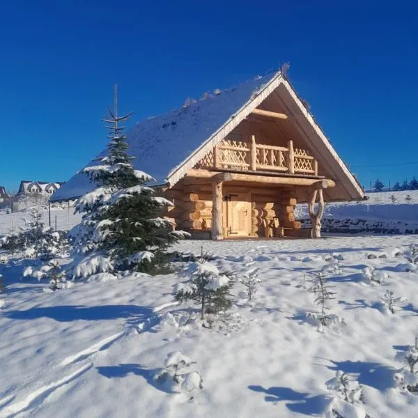 Szałas, hotel en Bustryk
