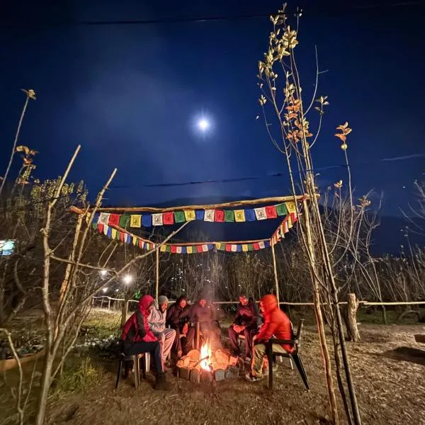 Basecamp Manali