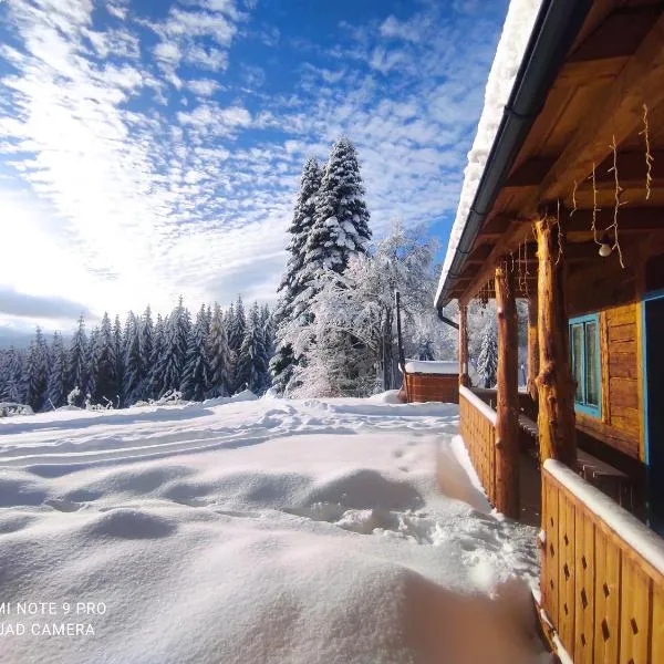 Căsuța de la munte, hotel en Bistriţa