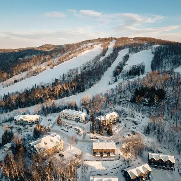 Ski in out at La Halte Mont-Blanc 2，位于Mont-Blanc的酒店