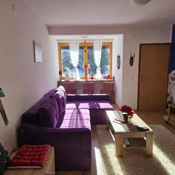 Apartment Violet Jahorina, hotel v destinaci Jahorina