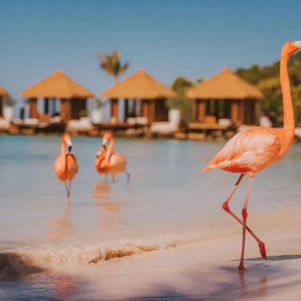 Renaissance Wind Creek Aruba Resort, khách sạn ở Oranjestad