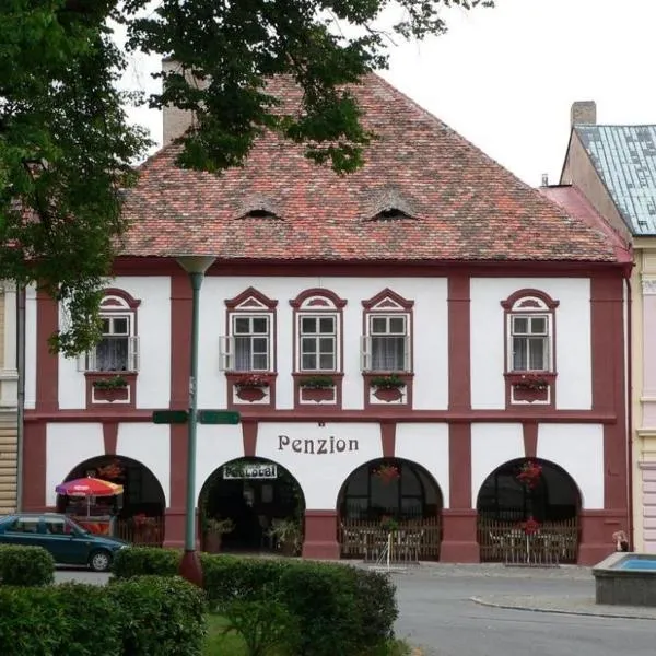 Restaurace a Penzion Podloubí, hotel v Opočně