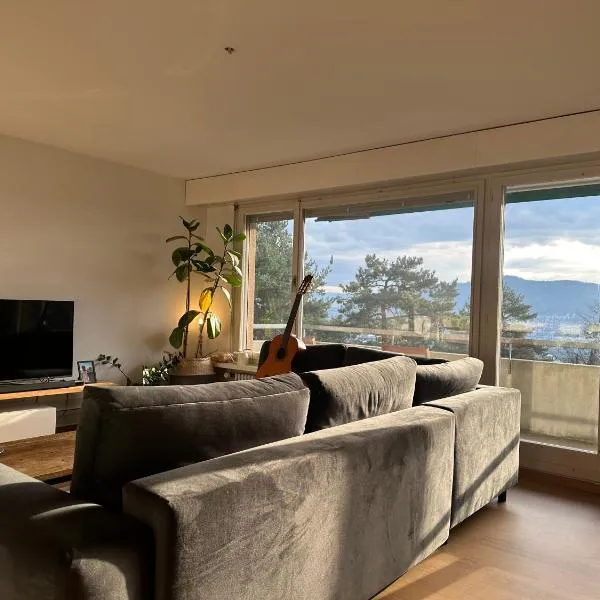 Lovely room, 15 min from center, mountain view, hótel í Zürich