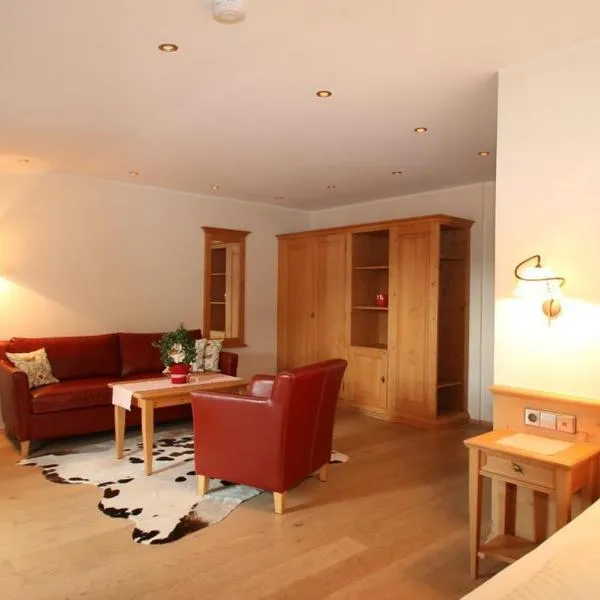 Todnauerberg Hotel im Schwarzwald, hotel v destinaci Todtnau