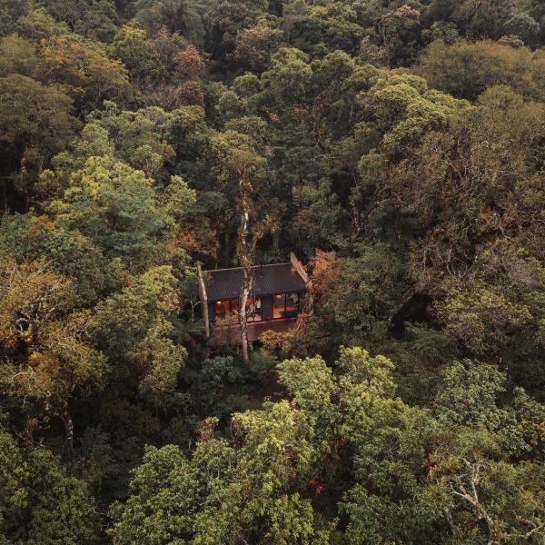 Casa Caúna