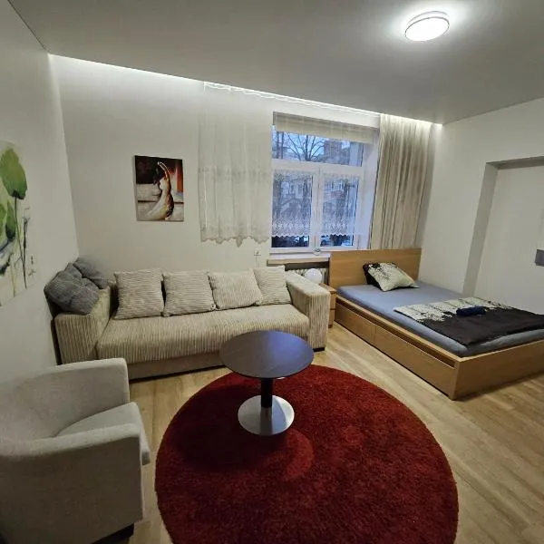 Kauno apartamentai big room king size bed, hotel in Kaunas