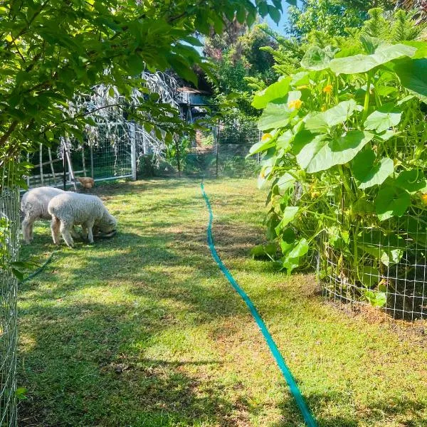 Bird Paradise & mini farm, hotel in Bendigo