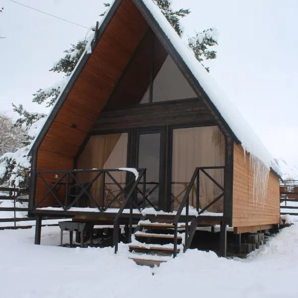 Forest view kazbegi, hotel i Sioni