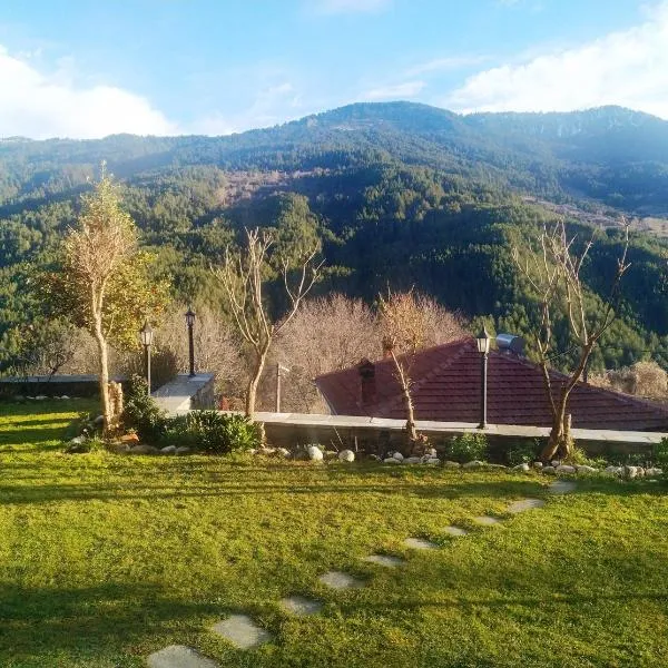 GOURA House, hotel v destinaci Metsovo